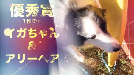 2021年10-11月度 Facebookグループ オンライン企画 表彰式