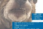 【11/23 千葉】NW1非公式競技会 – Sniff&Go（４課目） in 千葉