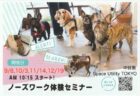 【12/ 19 東京】ノーズワーク体験セミナーin 中目黒