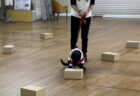 【6/4 岐阜】におい認識テスト